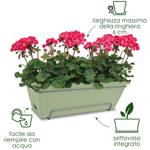 barcelona allin1 50cm pistache green